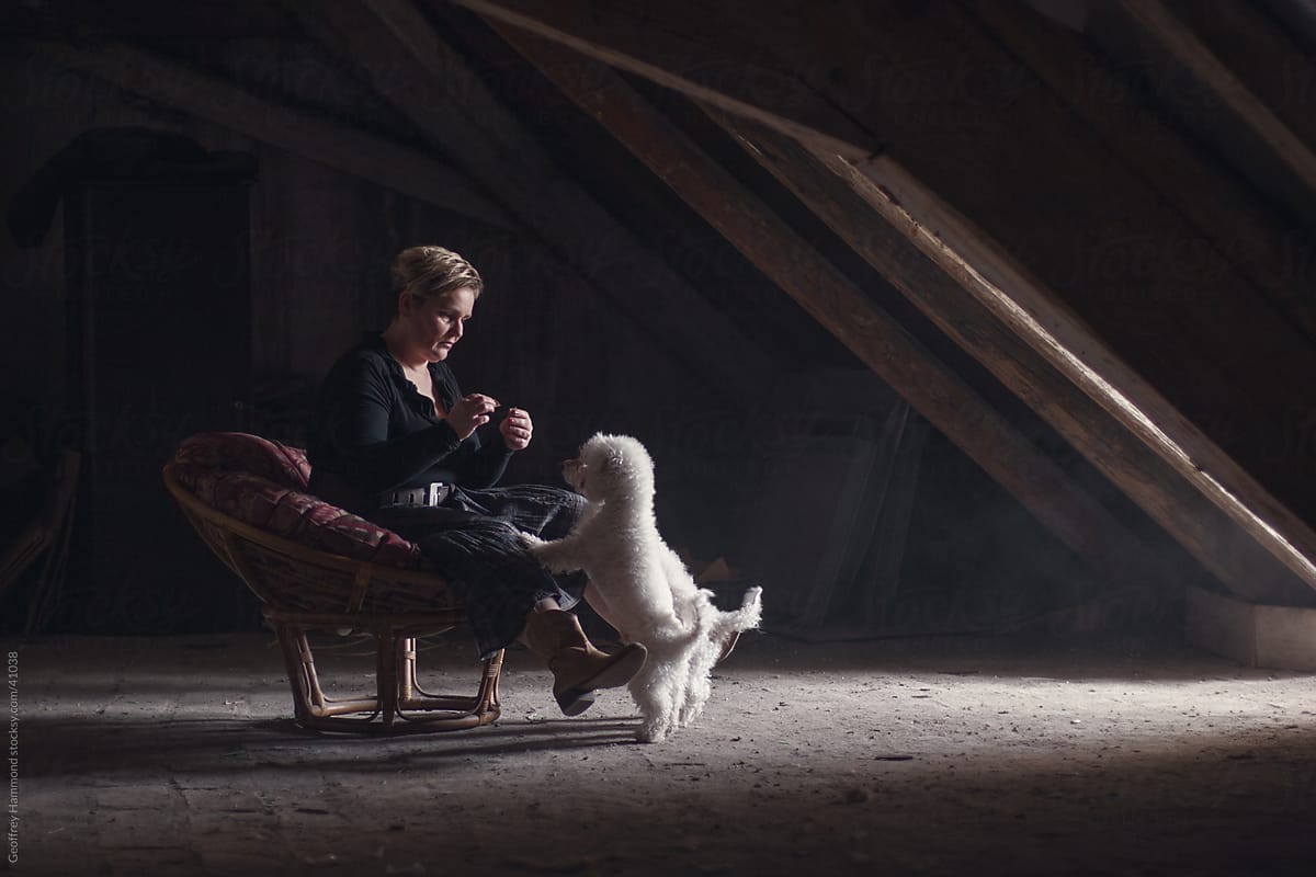 Woman in Attic with Bichon Dogs