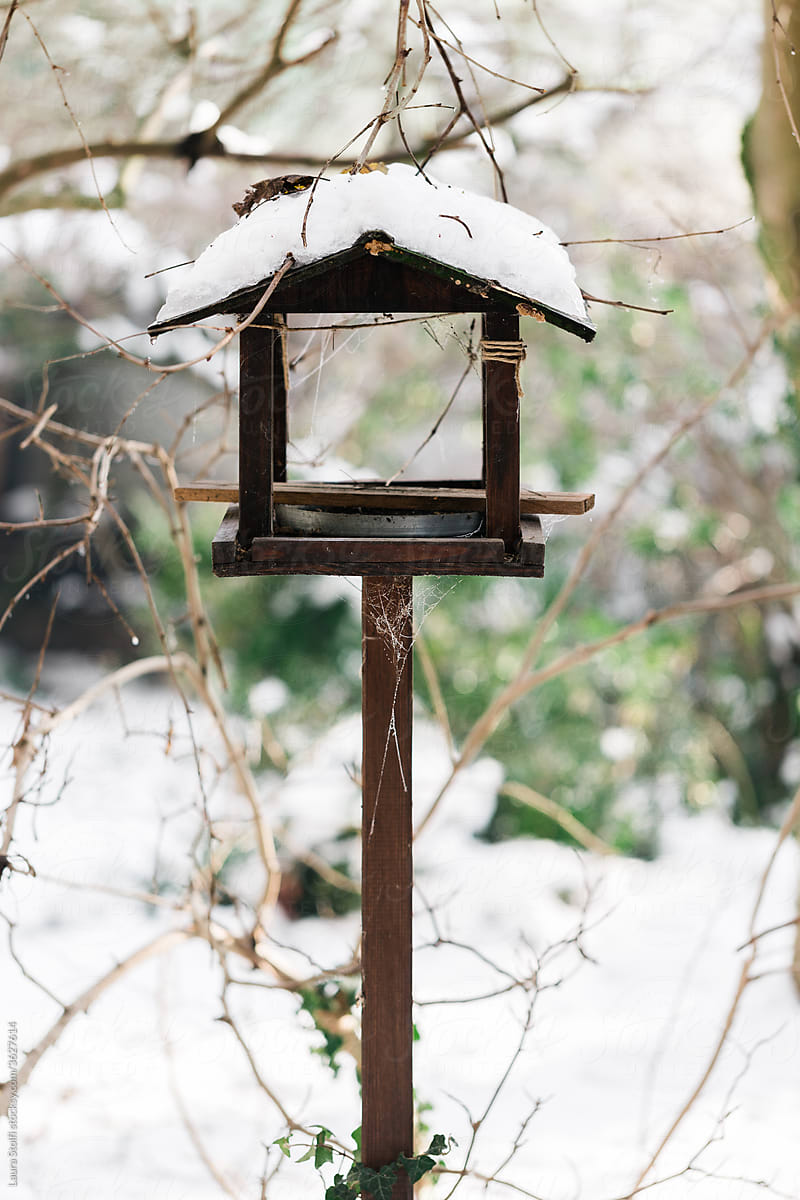 Snow on the roof of wooden bird feeder in garden