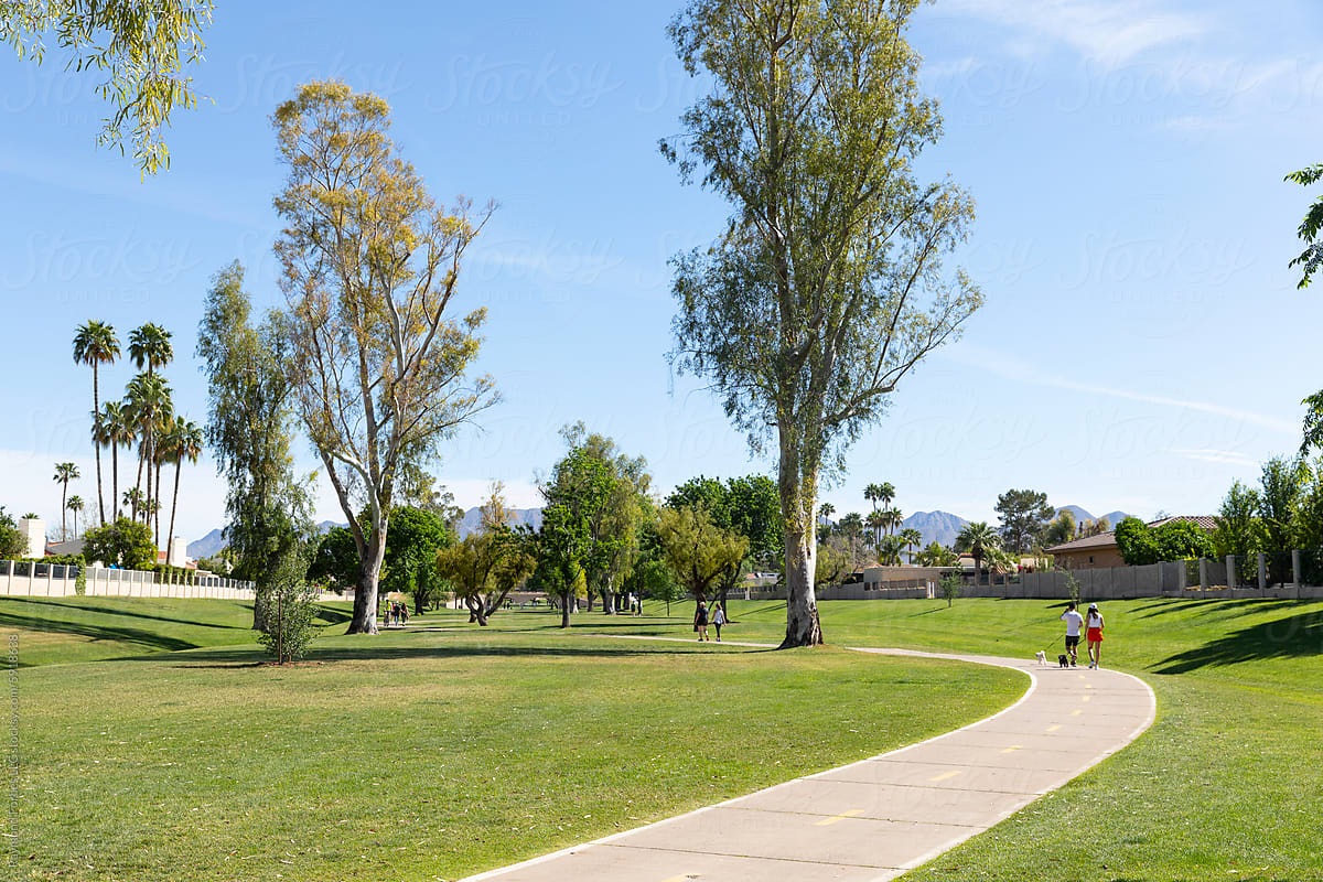 Dog walk on path in Park Scottsdale, Arizona Landscape