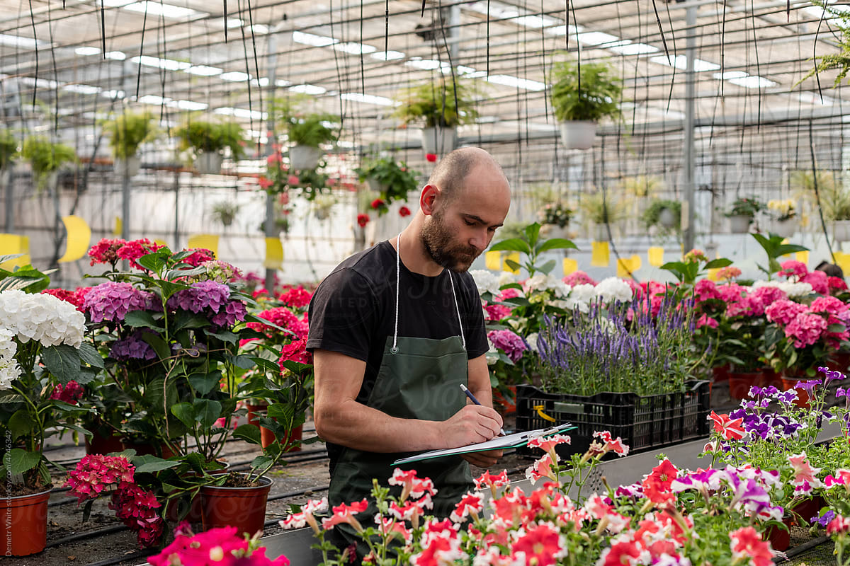 White man with beard writes on paper inside greenhouse