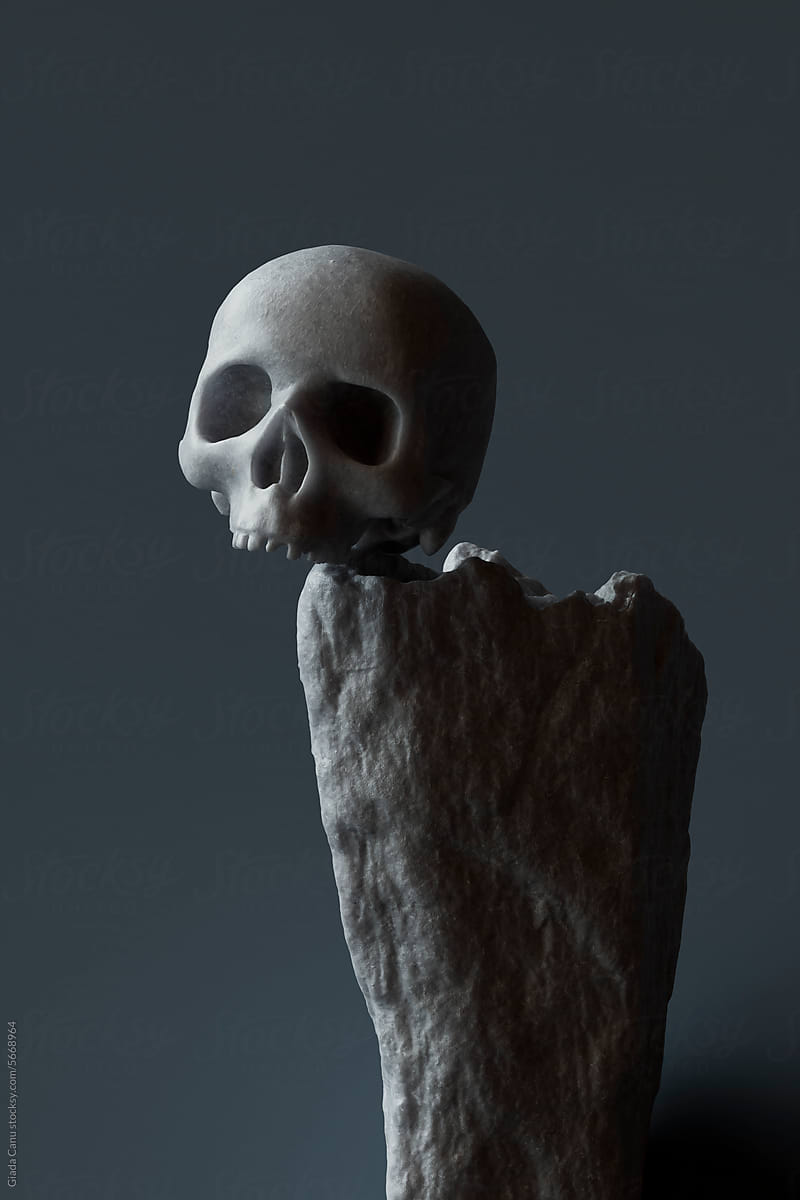 human skull on dark background