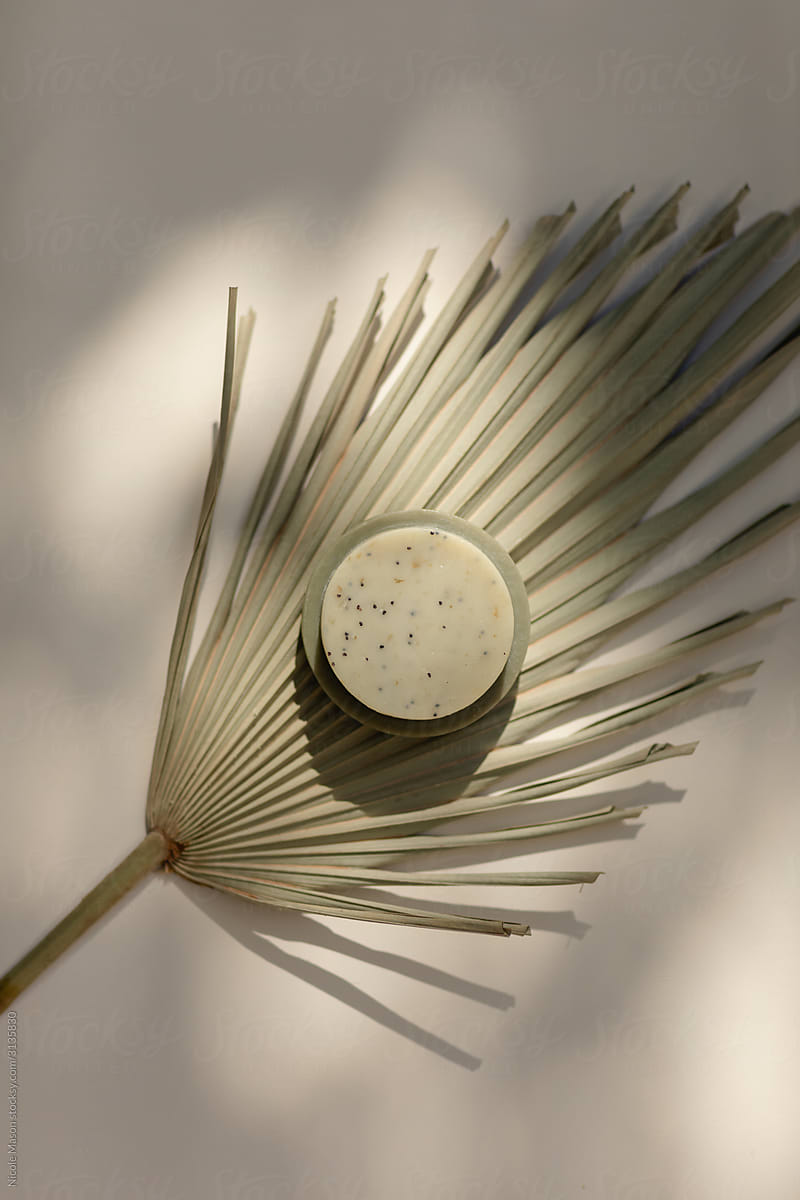 minimal still life of natural soap with palm leaf in dappled light on cream background