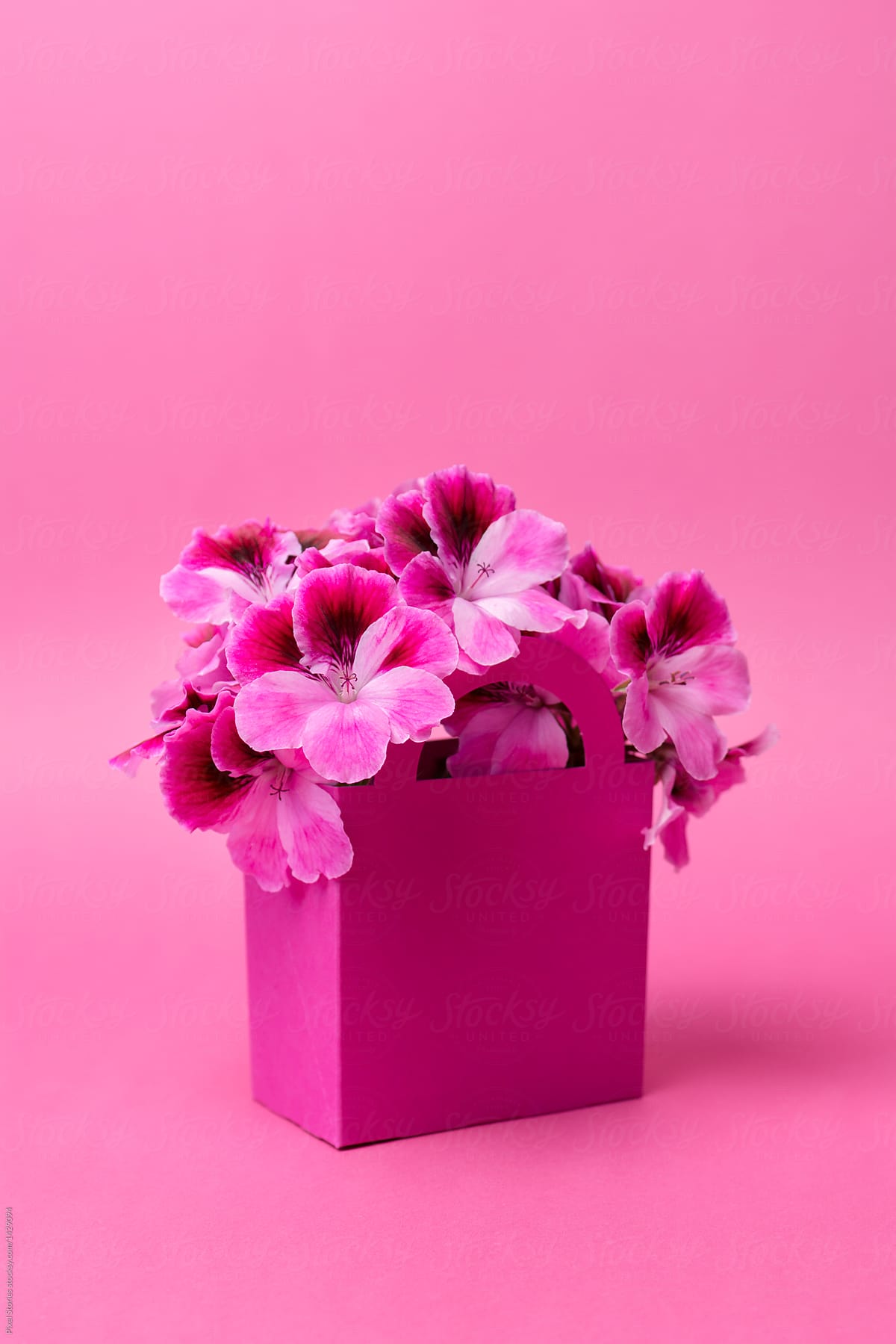 Geranium flowers arranged in a paper bag
