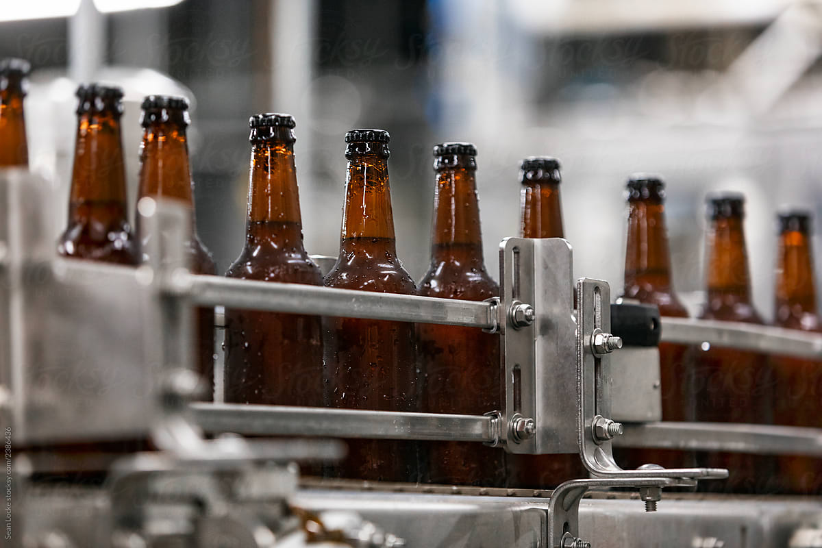 Brewery: Filled And Capped Beer Bottles On Production Line