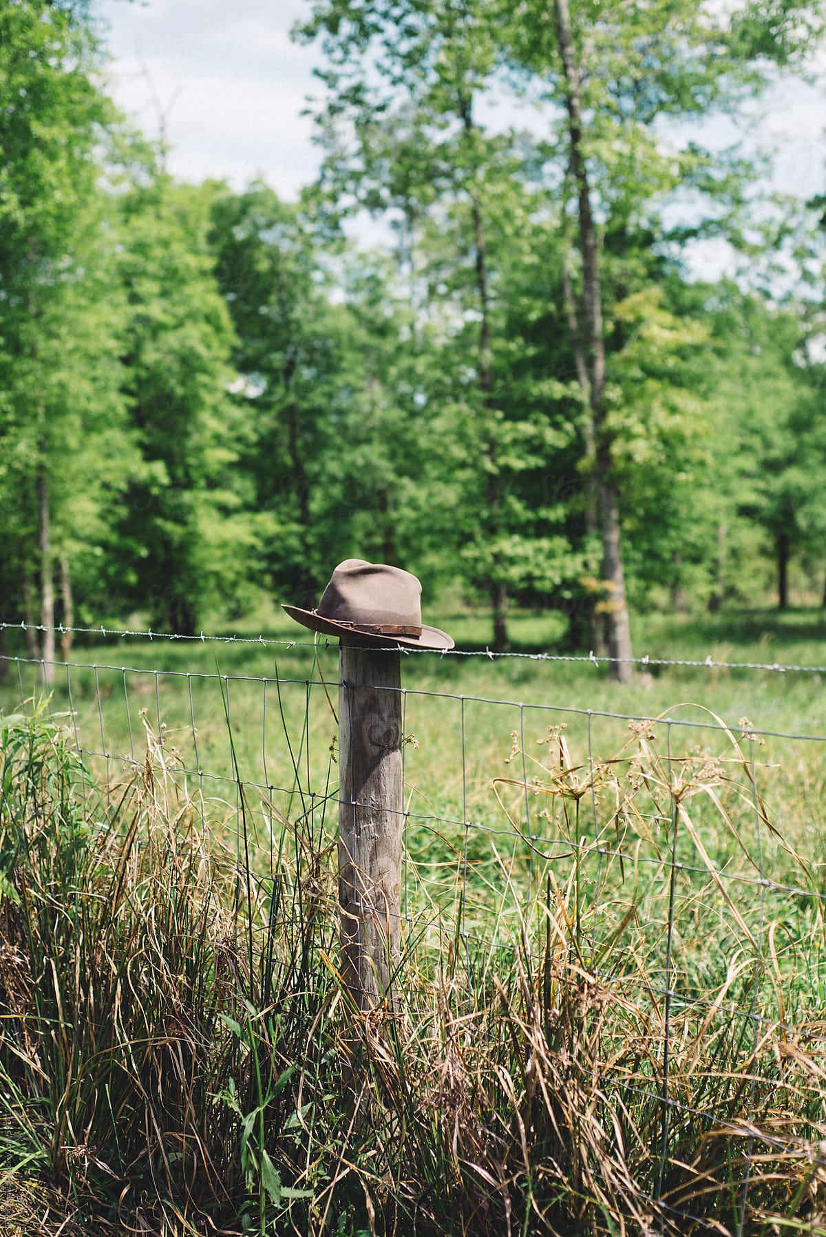 Lone Hat on the Fence