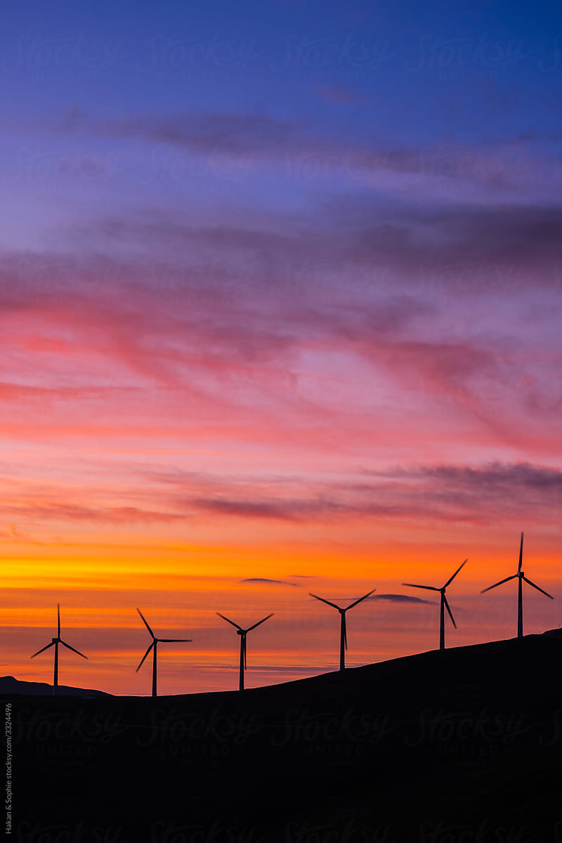 wind turbines in the purple and orange setting sun