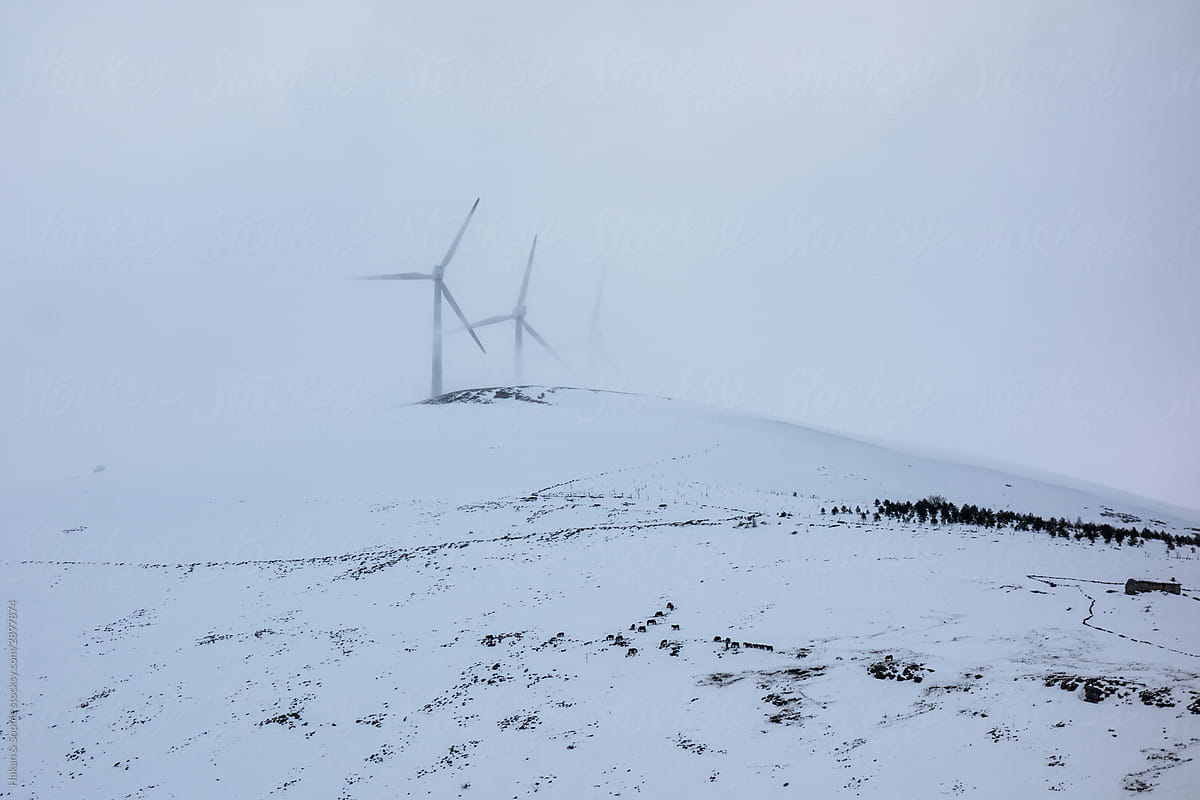 Wind generators on a gloomy snowed in day