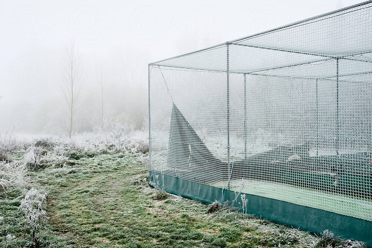 Sports nets on a winters day