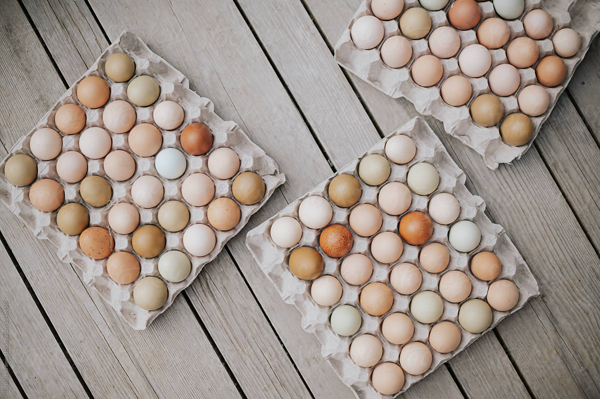 Cardboard flats of multicoloured farm fresh eggs.