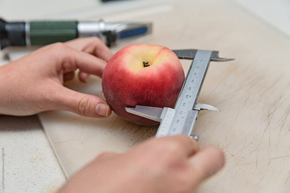 Technician measuring fruit with a caliper