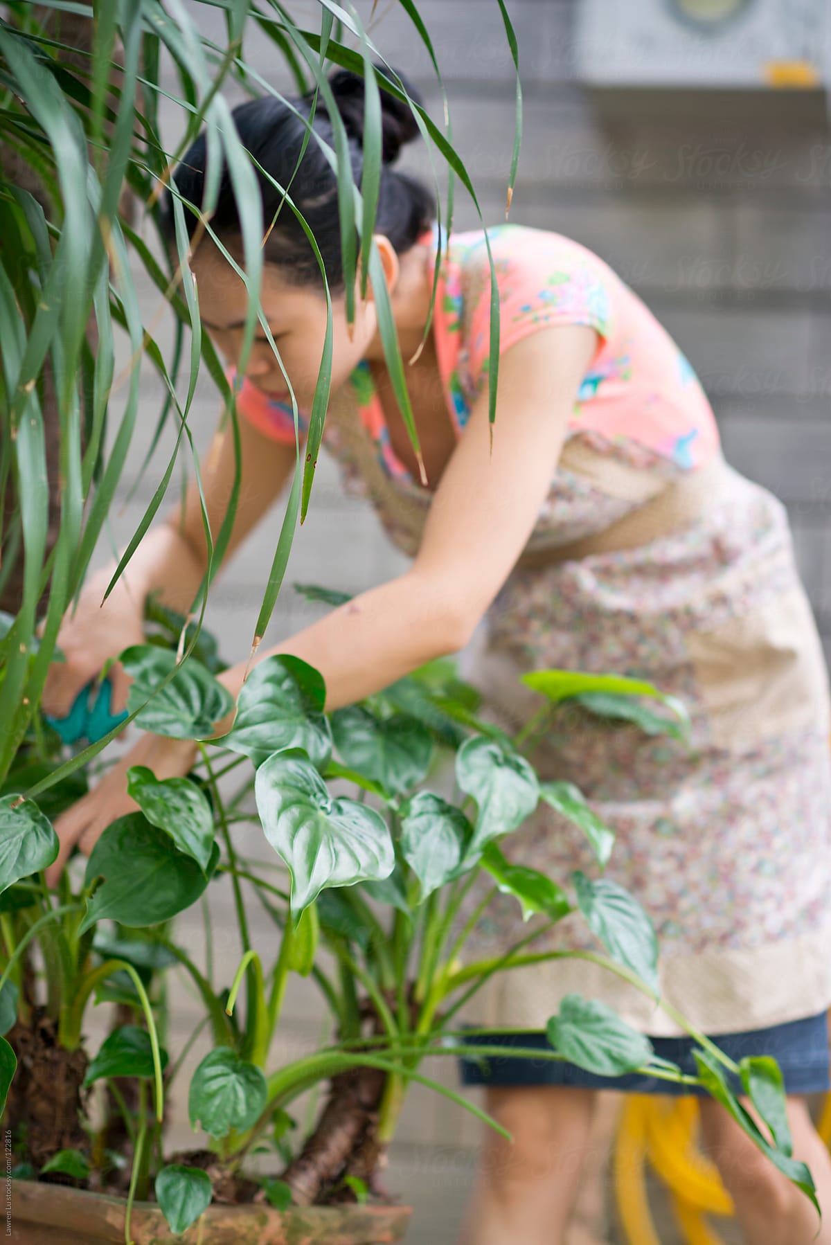 Young woman trimming plants in garden
