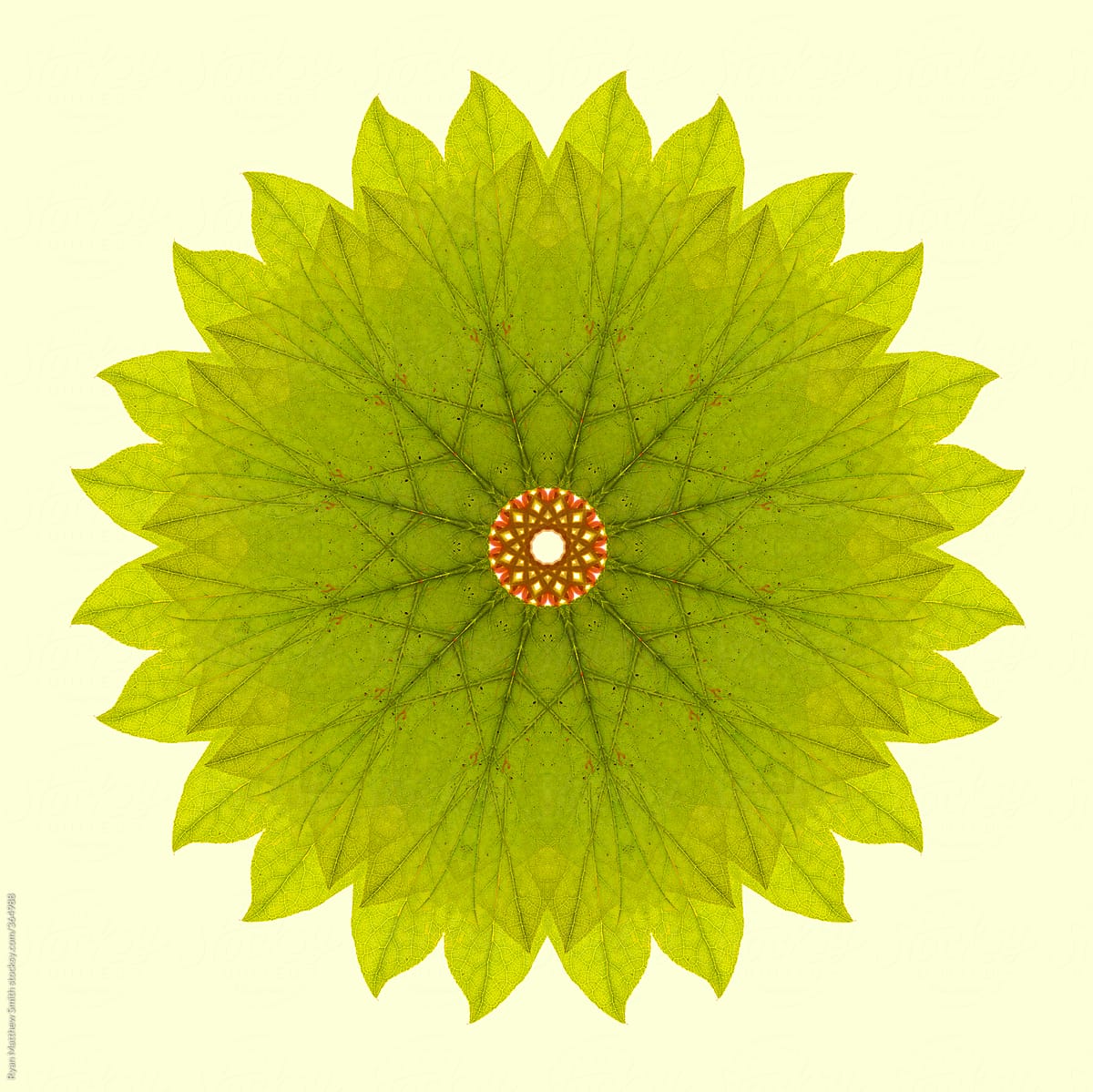 Leaf Mandala