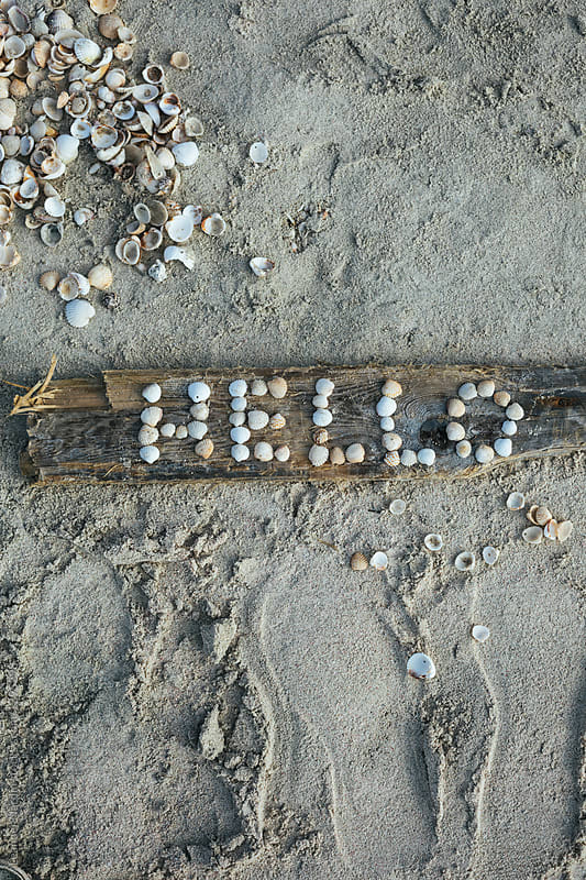 hello letters made of shells on driftwood