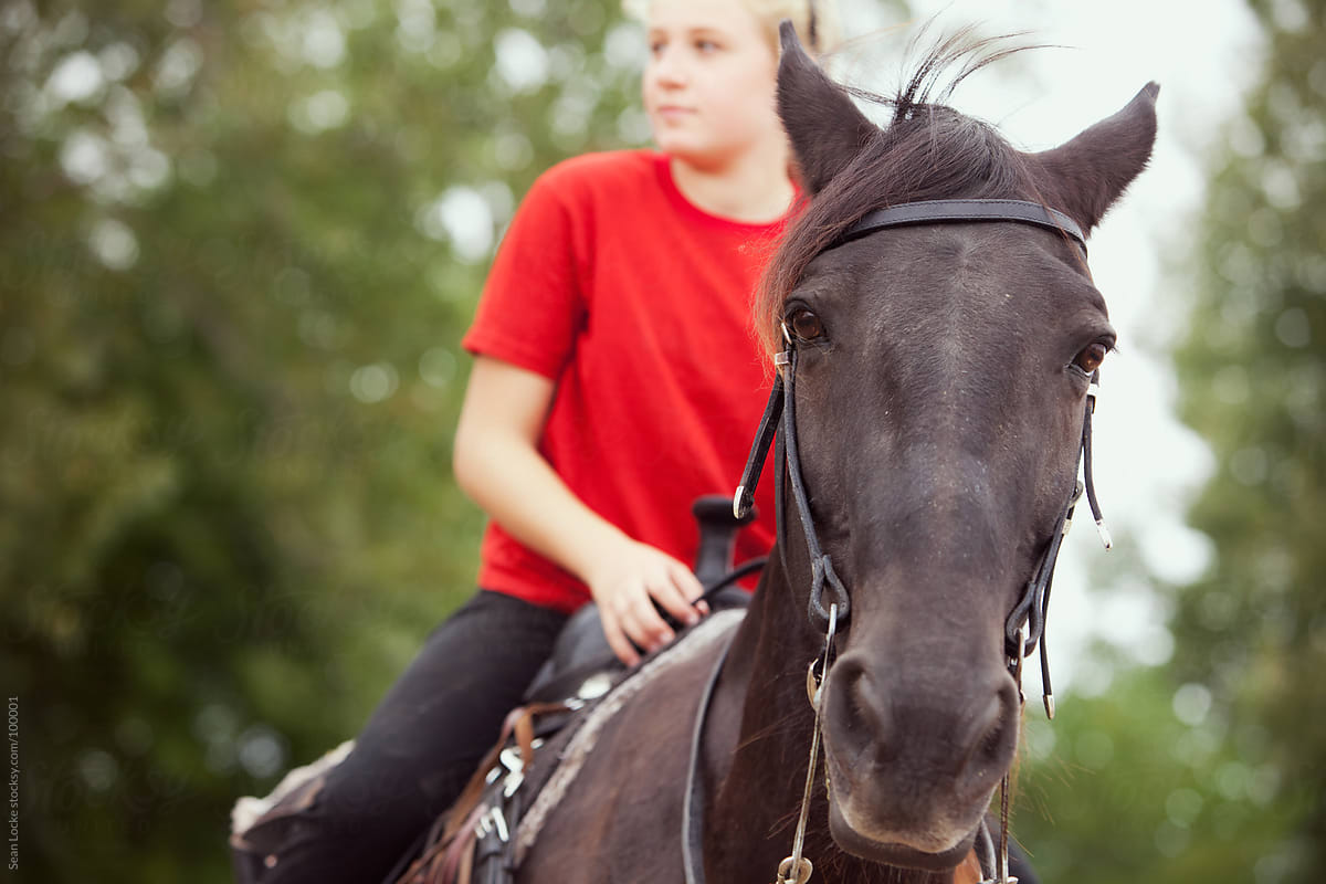 Equestrian: Horse Looking at Camera with Rider