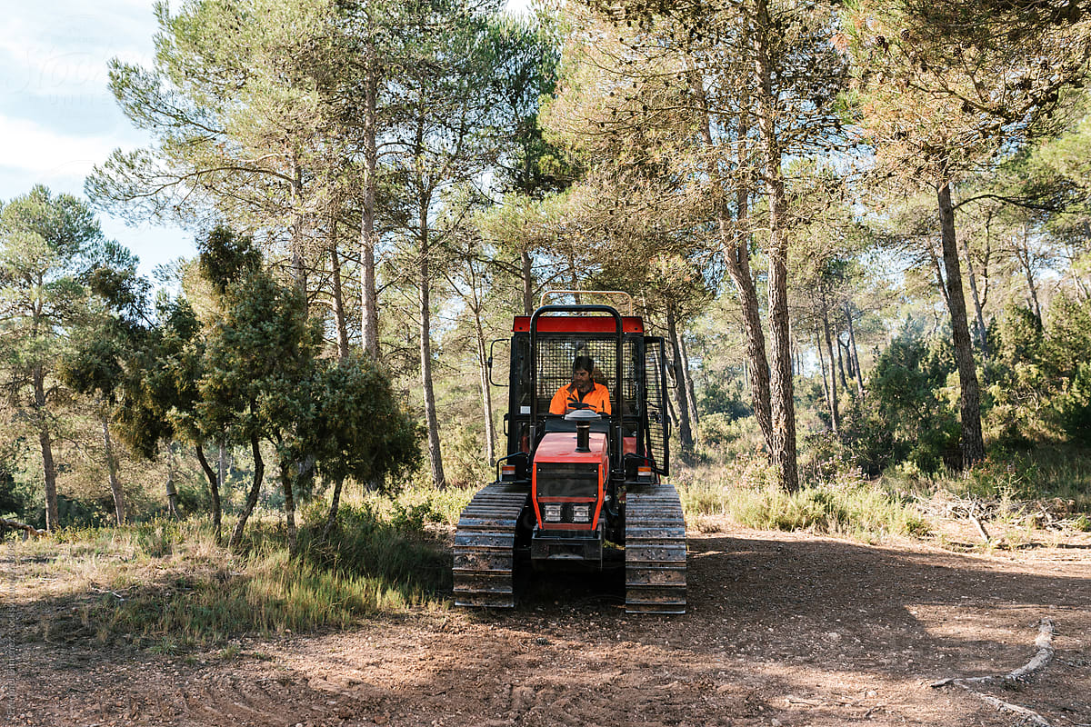 Man riding tractor in forest