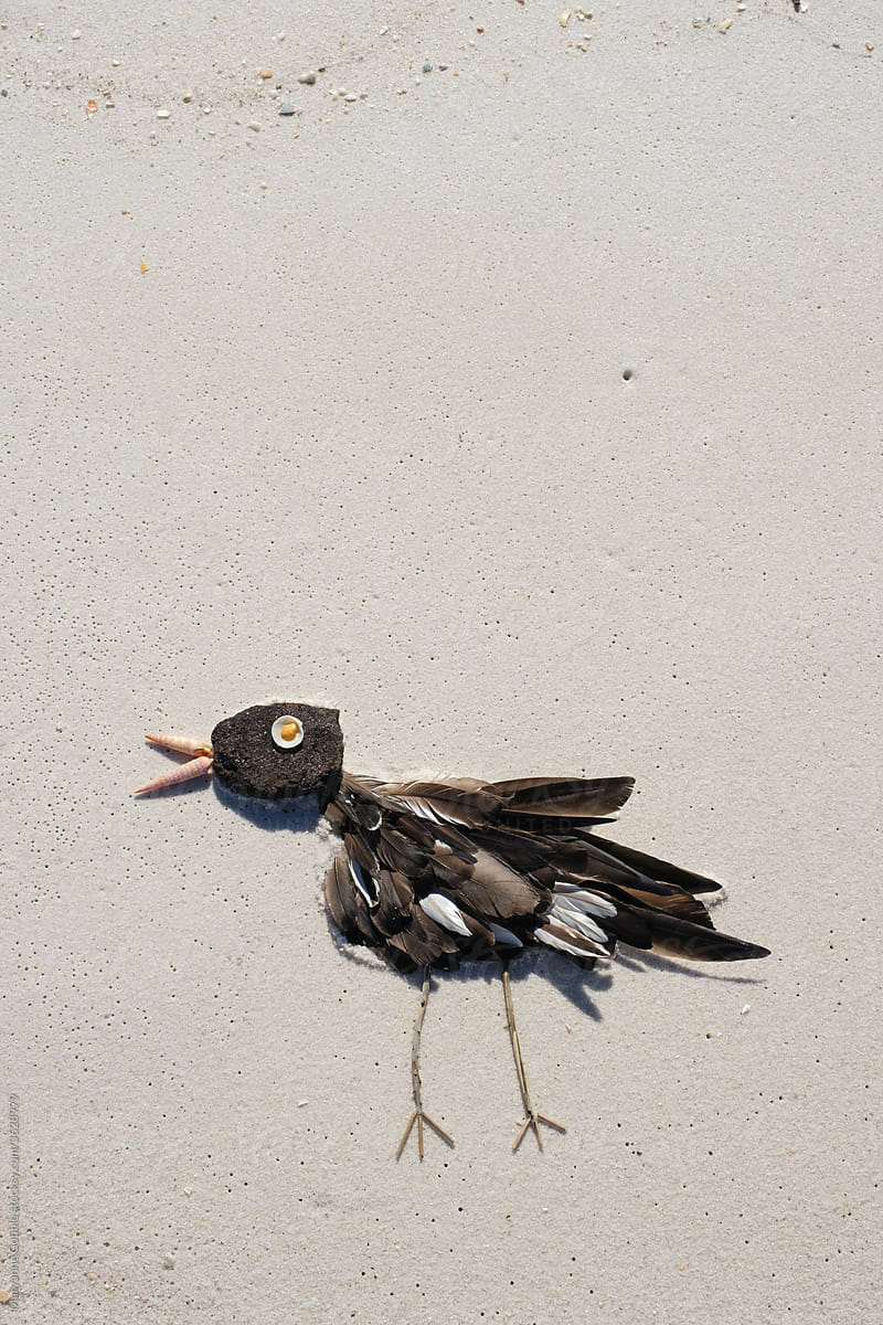Beach Art Project  with Bird Feathers