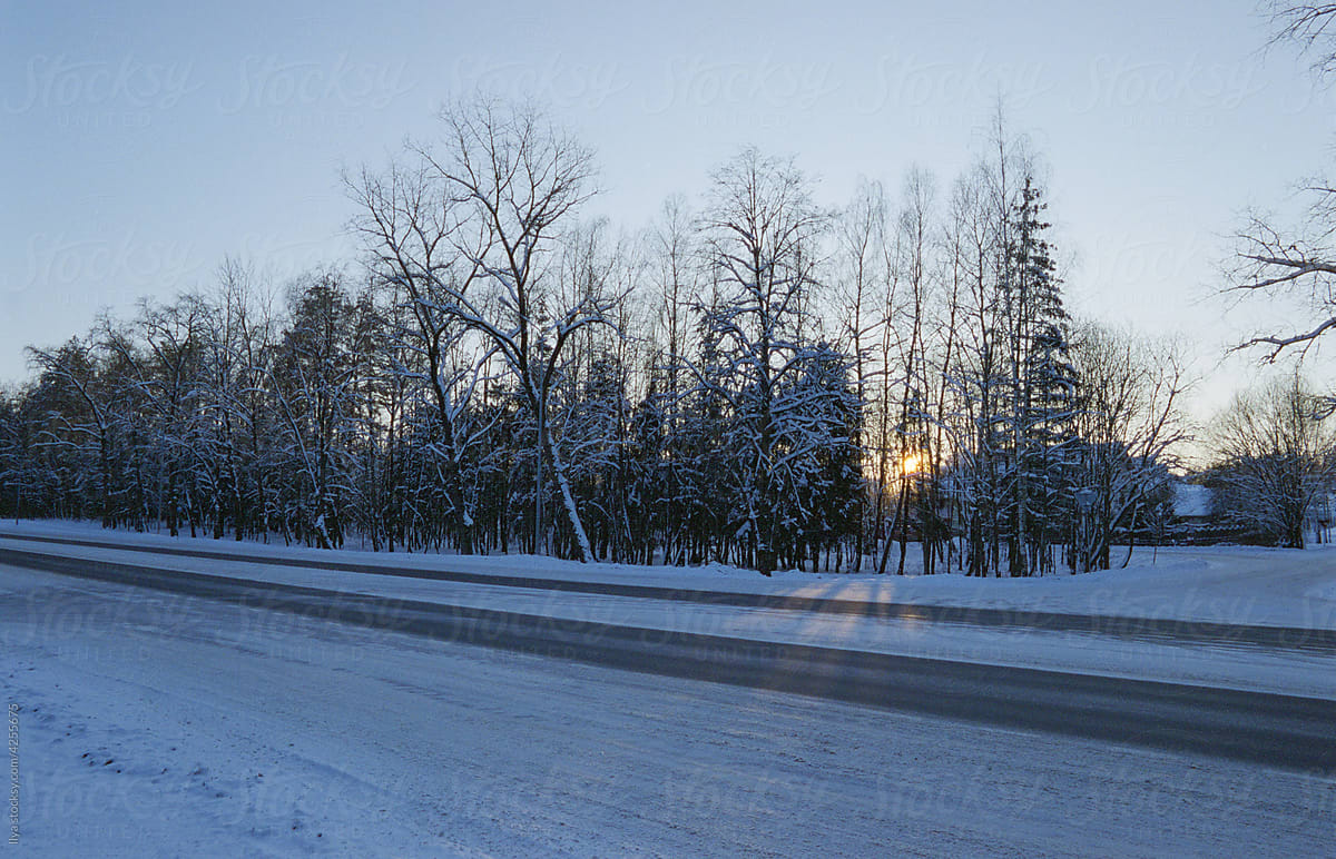 Winter forest road snow sunset nature landscape