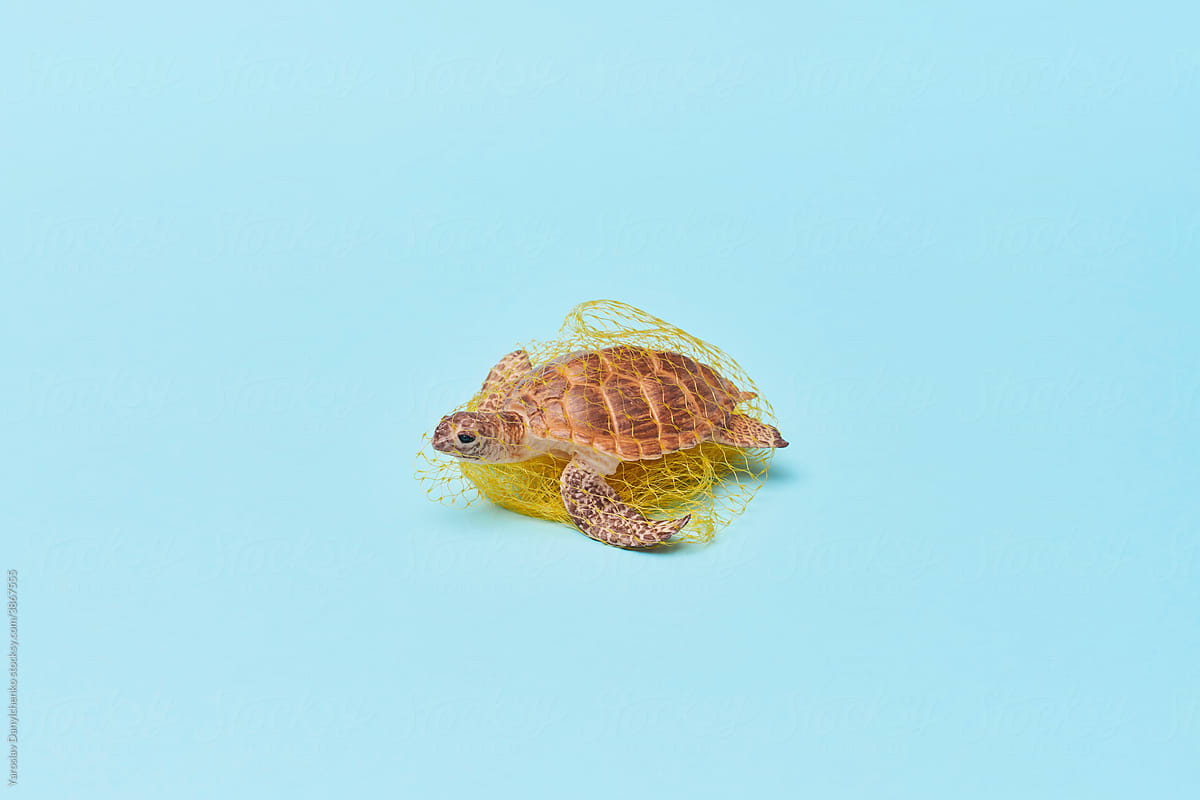 Toy turtle trapped in plastic net