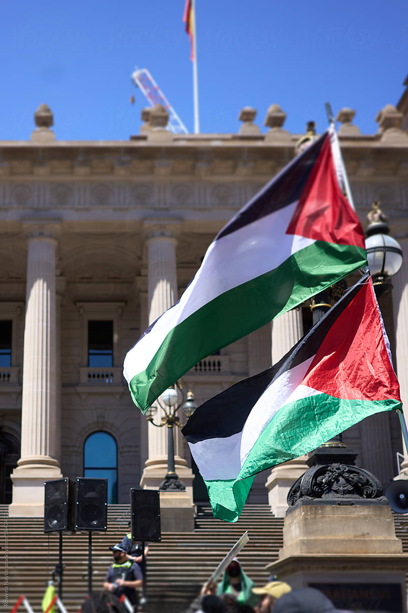 Palestinian flags fly at protest