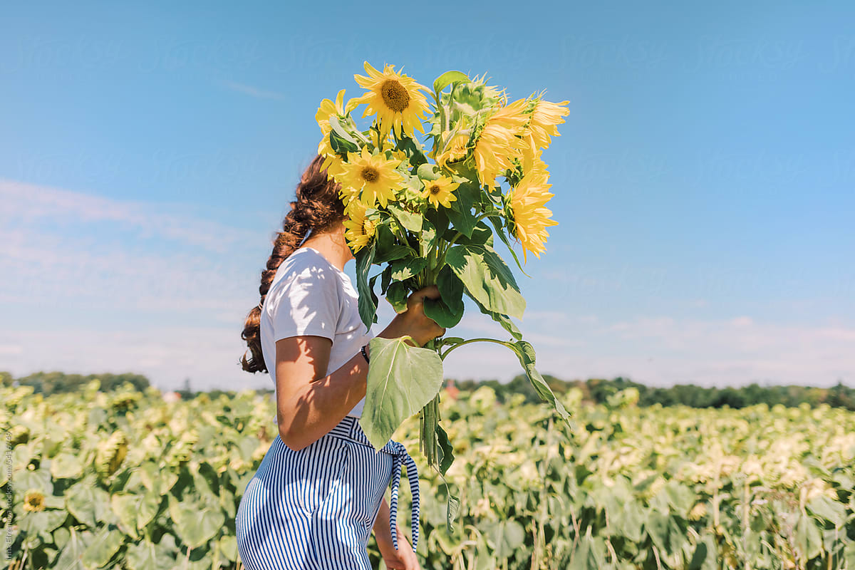 Girl walking on a Hot Summer Day through Sunflower Field with bouquet