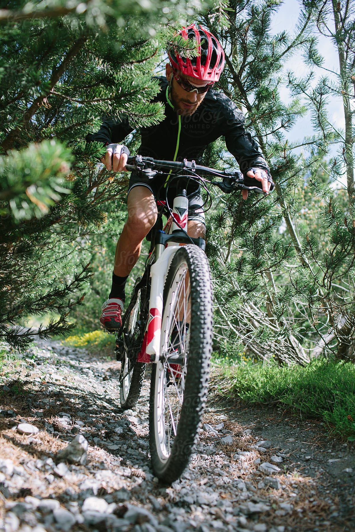 Man Riding a Mountain Bike