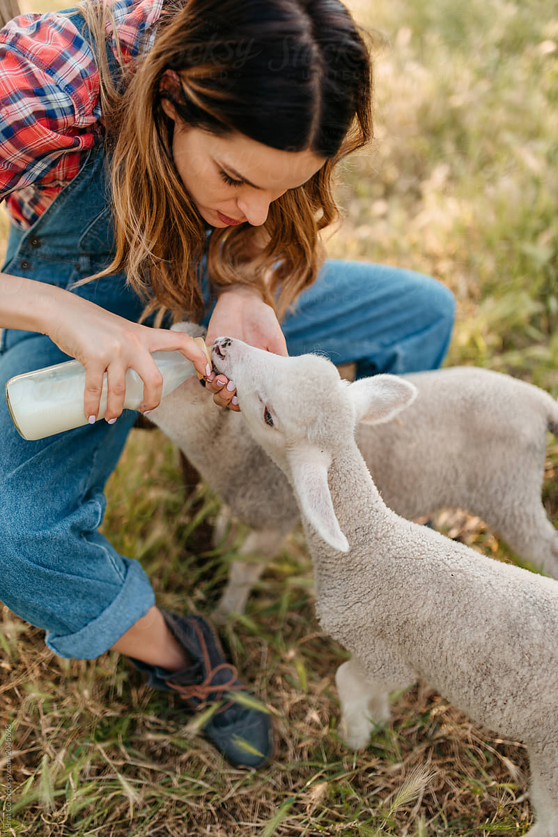 Farm Girl Feeding Animals