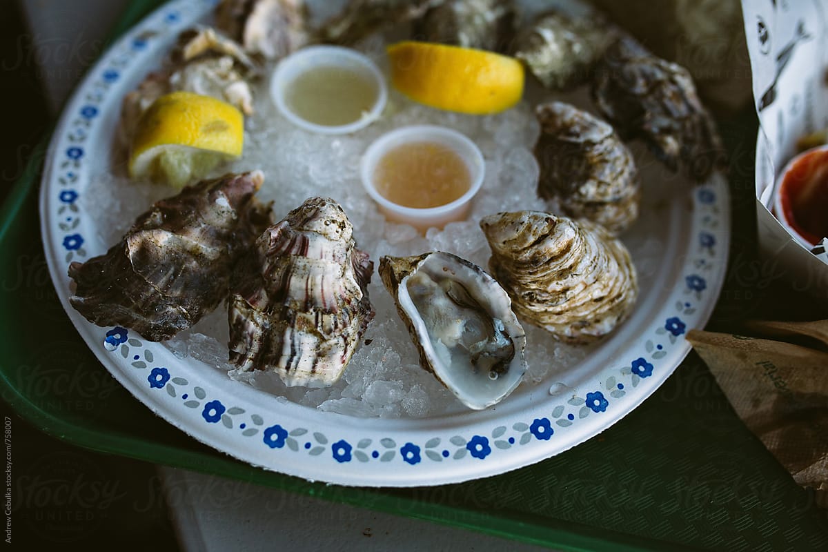 Oysters on a plate - digital file