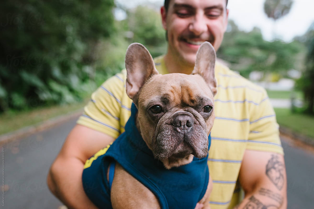 French bulldog with its owner