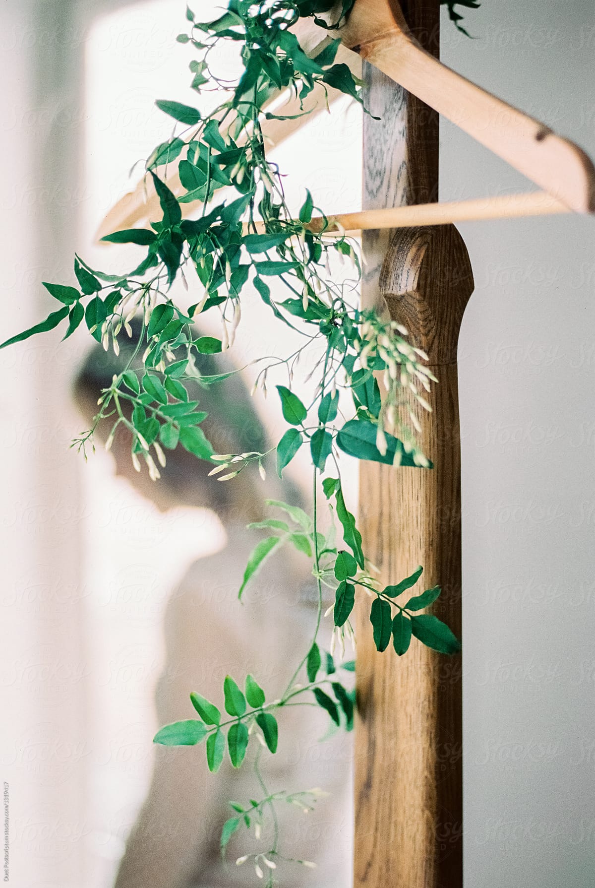 Green branch with leaves hanging on hanger