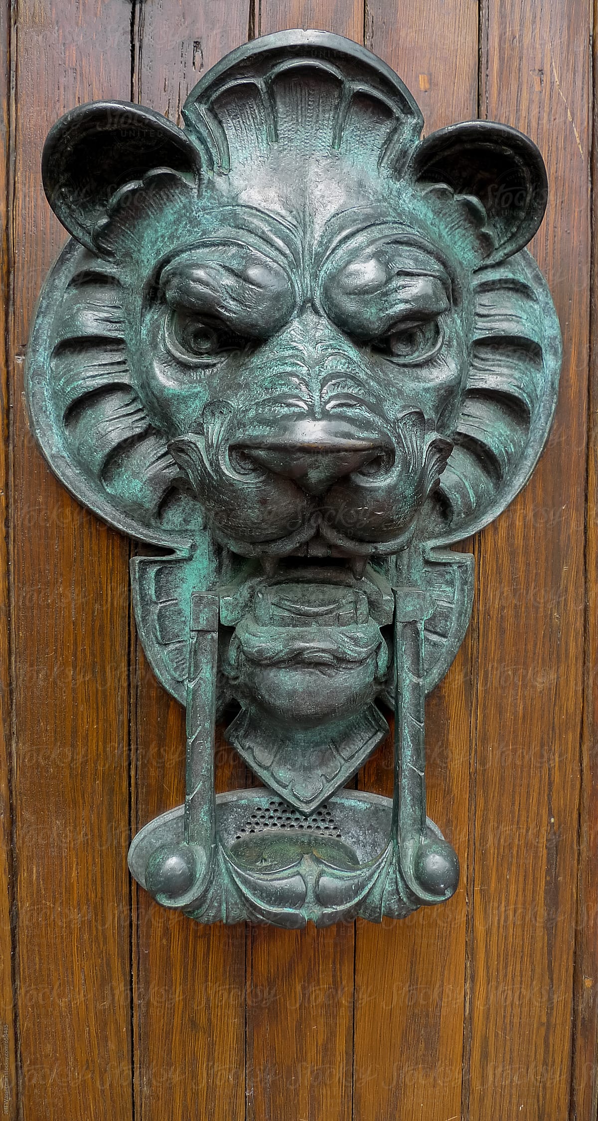 Antique Door Handle with Lion Face