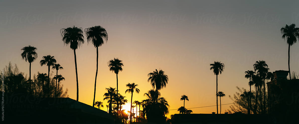 Summer Feeling - Setting Sun Behind Silhouetted Palm Trees