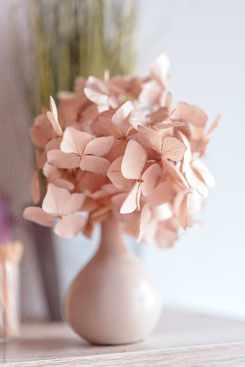 Dried hydrangea in vase on a table