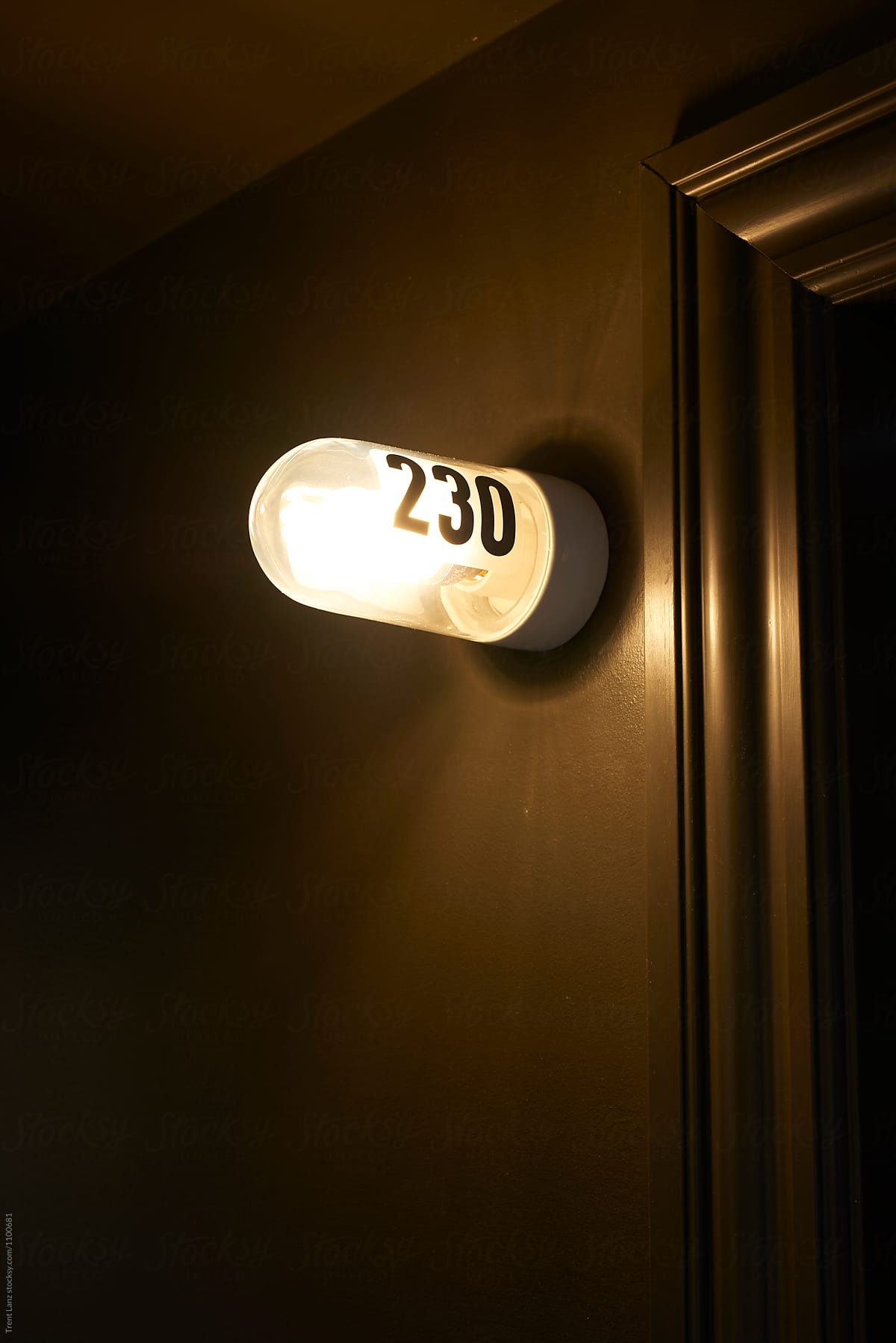 230 lamp sign on brown wall
