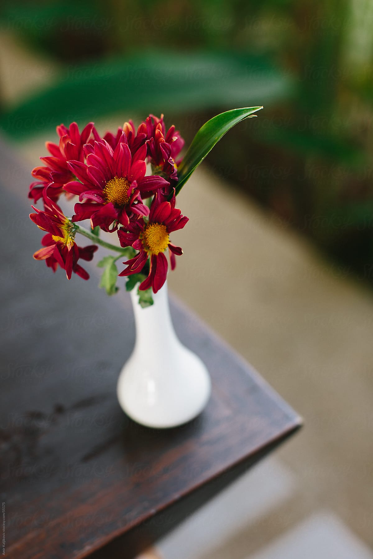 Red flowers in a ceramic vase