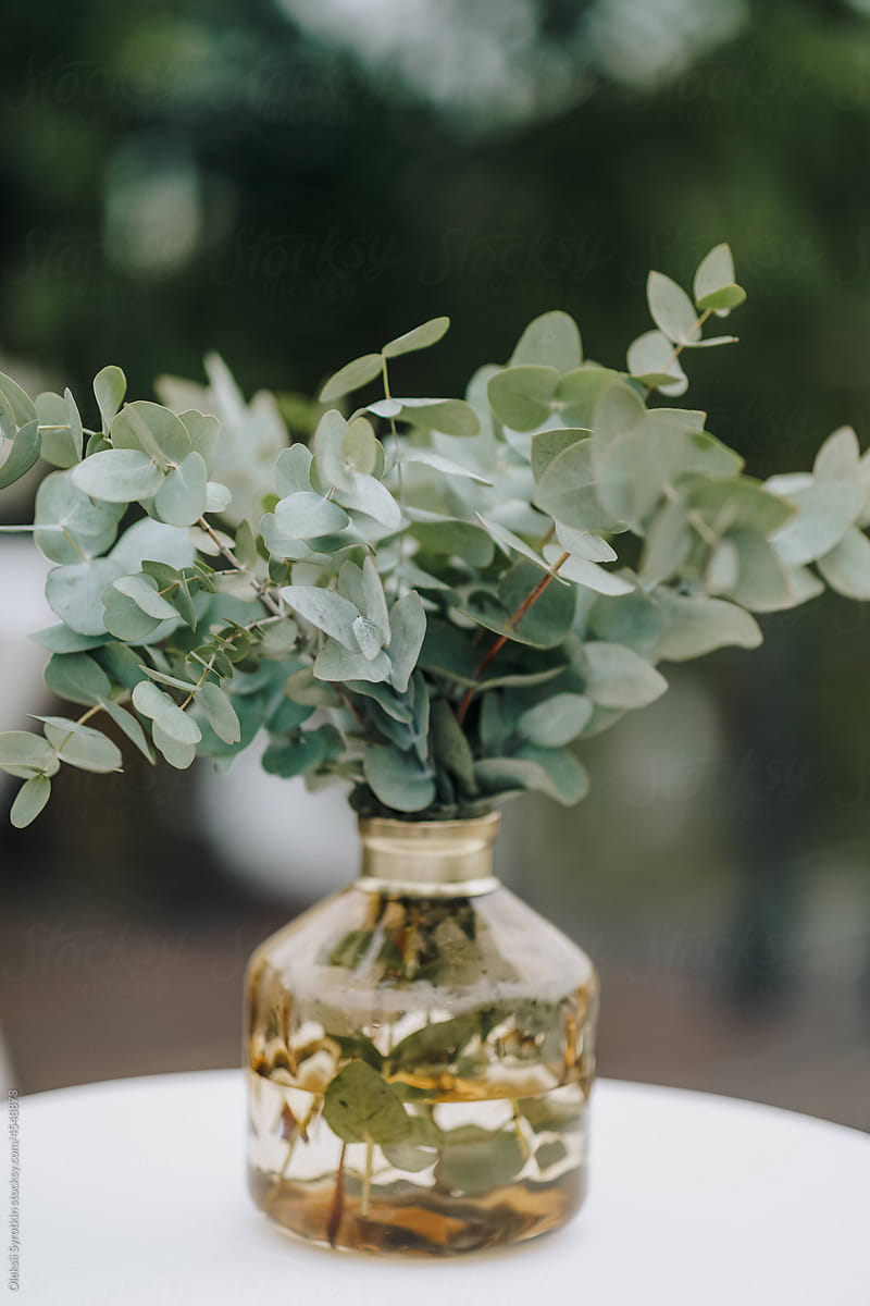 Jar with eucalyptus arrangement