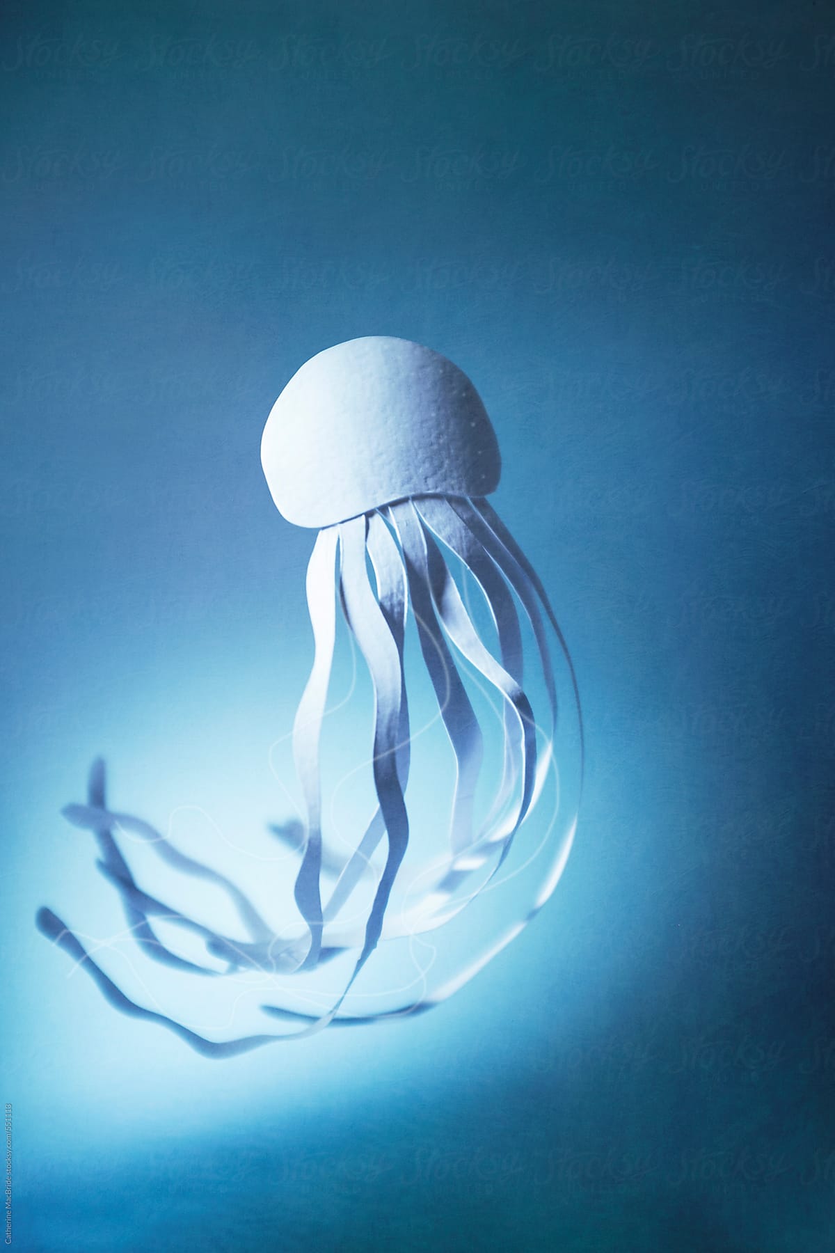 White Paper Jellyfish...