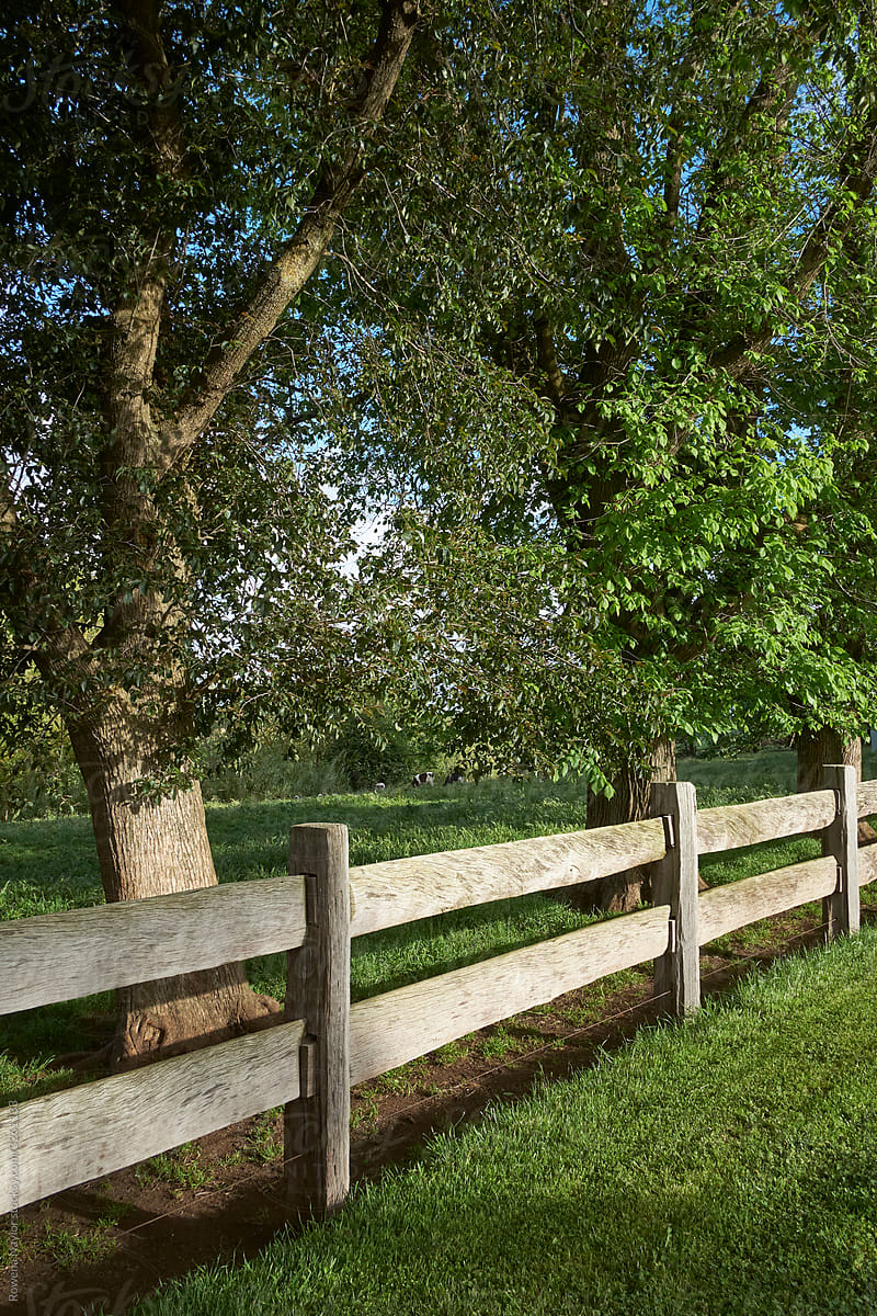 Handmade post and rail fence on homestead