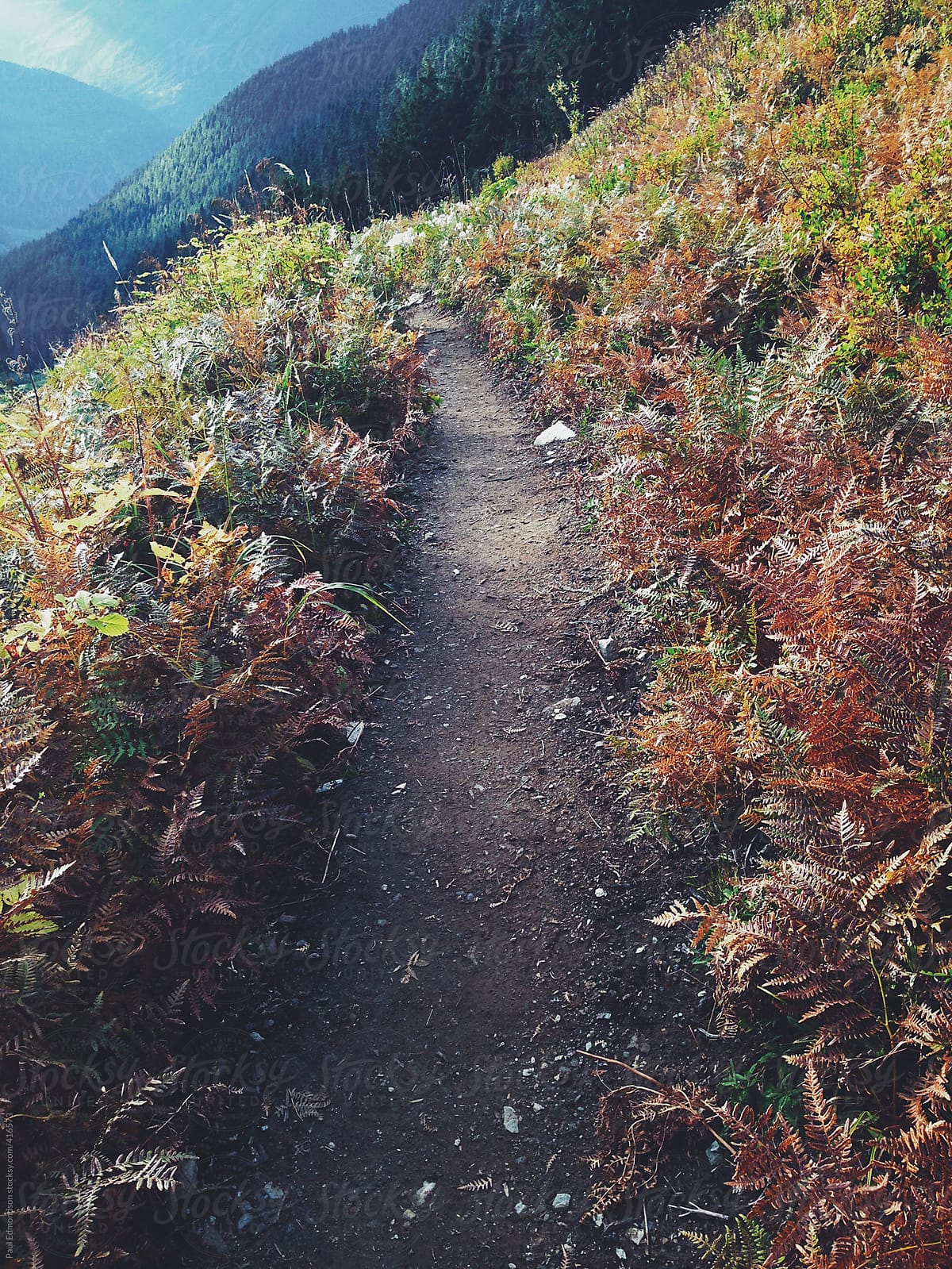 Hiking trail in mountains, autumn, North Cascades, WA, USA