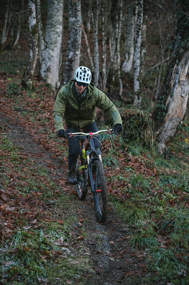 Cyclist riding in fall woods
