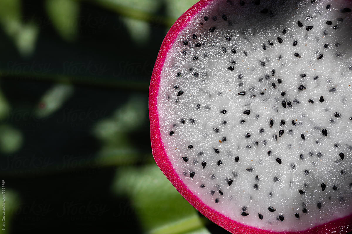 Close-up of half of a pink pitahaya with copyspace