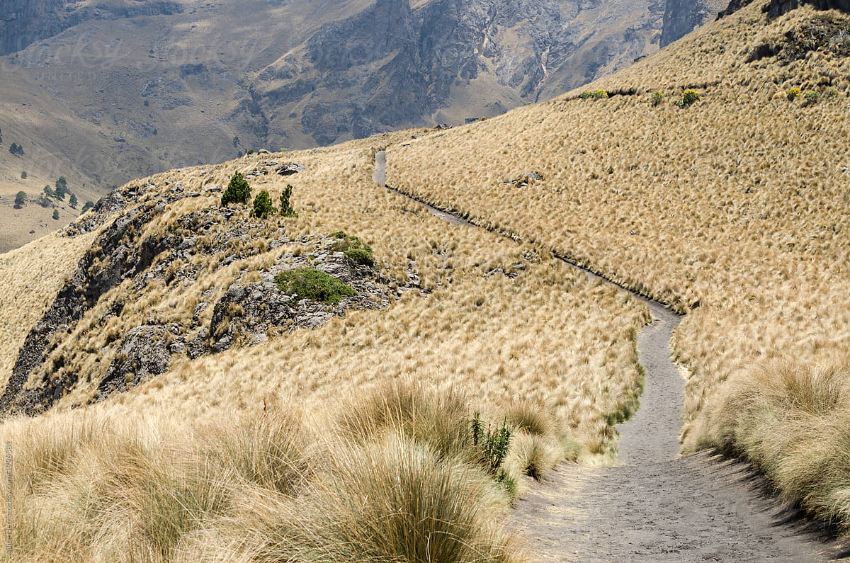 Pathway in the mountains through dry grass