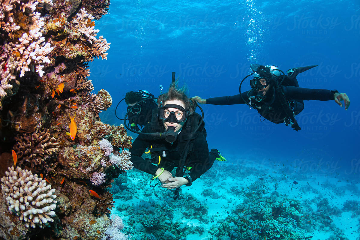 Group of scuba divers underwater