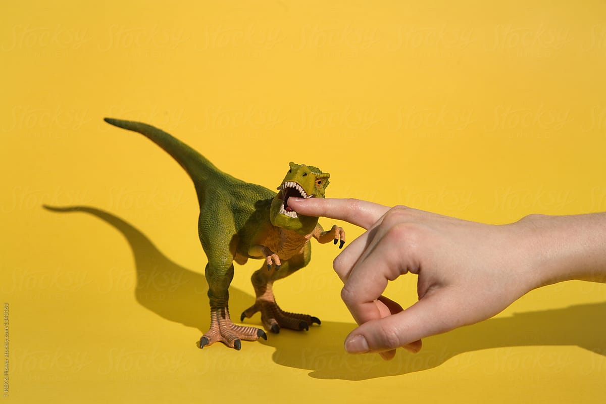 Plastic T-Rex and human hand