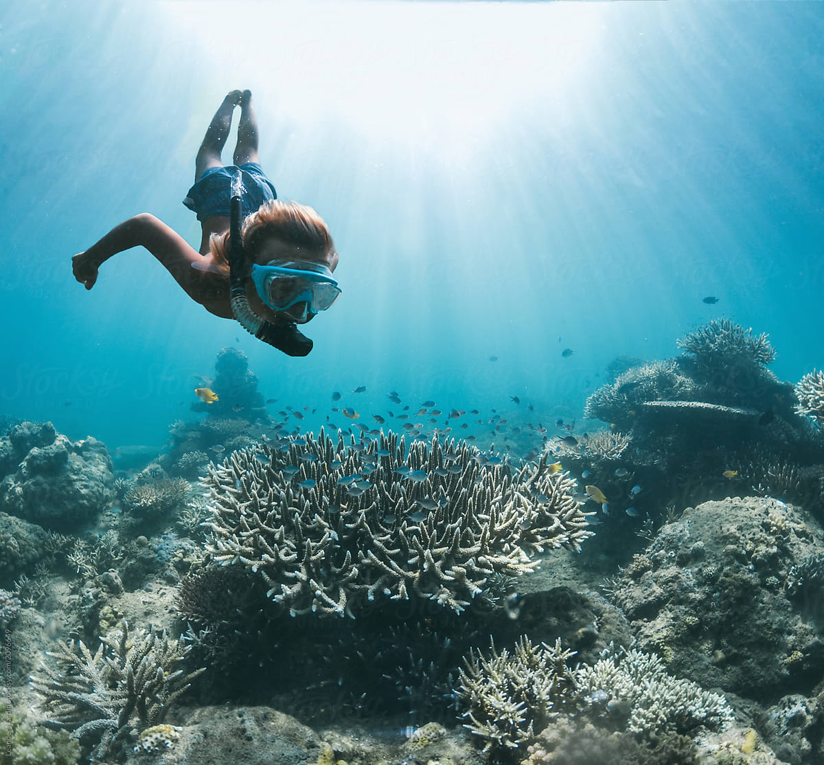 young boy with mask and snorkel diving down to colorful coral reef with many fish