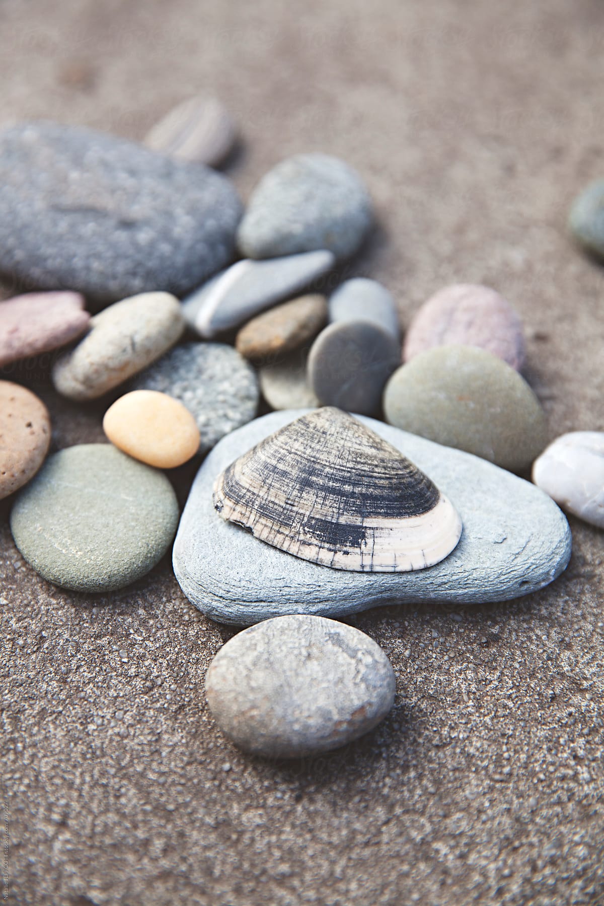a collection of beautiful weathered stones found on a beach