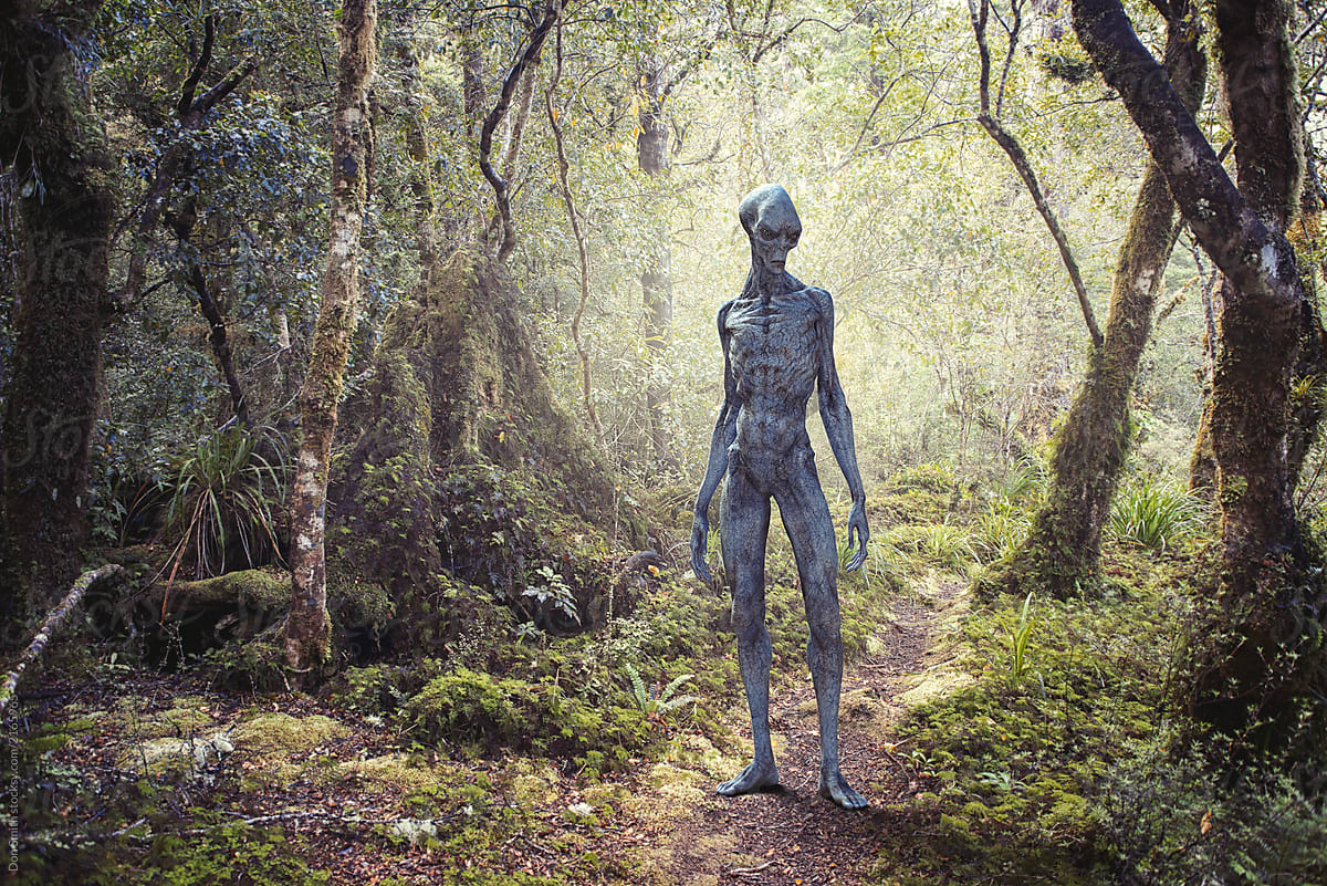 Alien in woodland