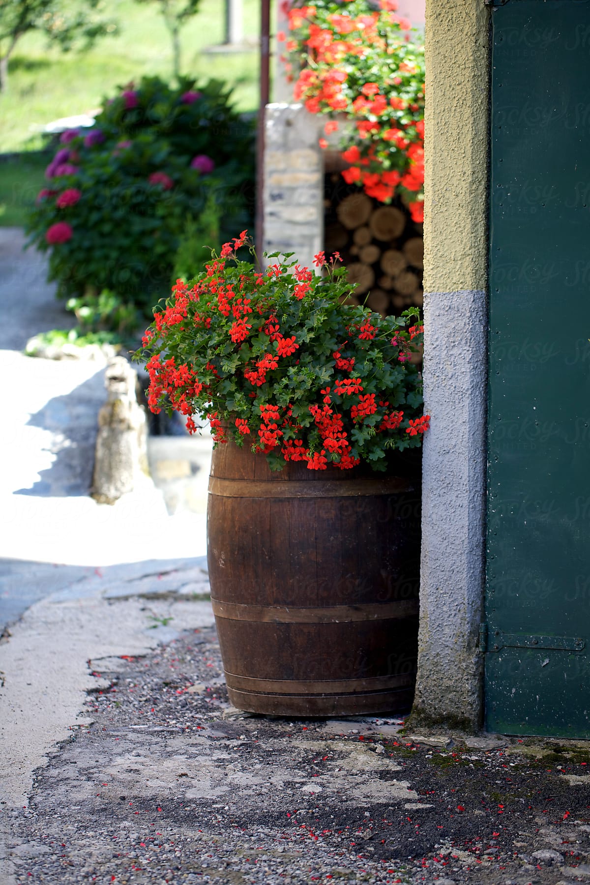 Corner of italian narrow street decorated with flowers