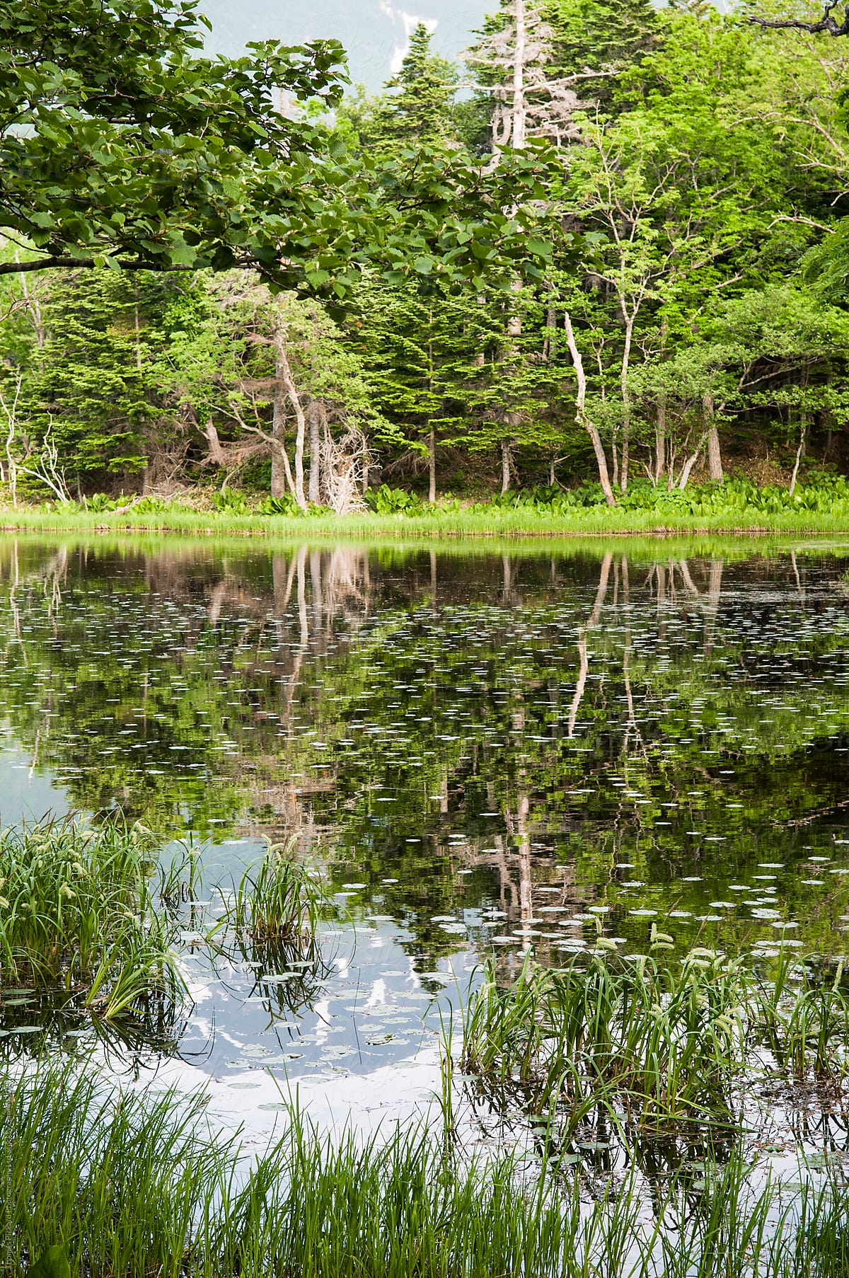 Shiretoko-goko (Five Lakes), Shiretoko National Park, Hokkaido, Japan.