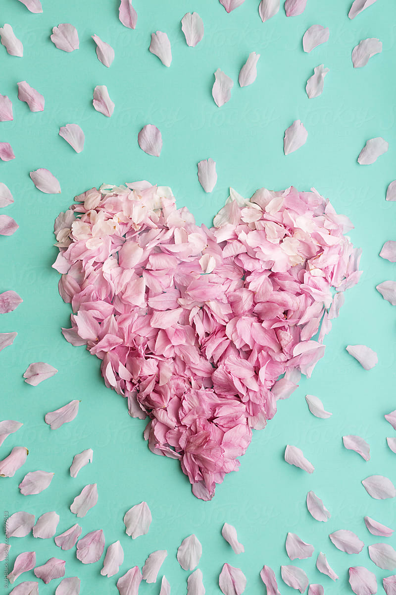 Heart made from blossom petals