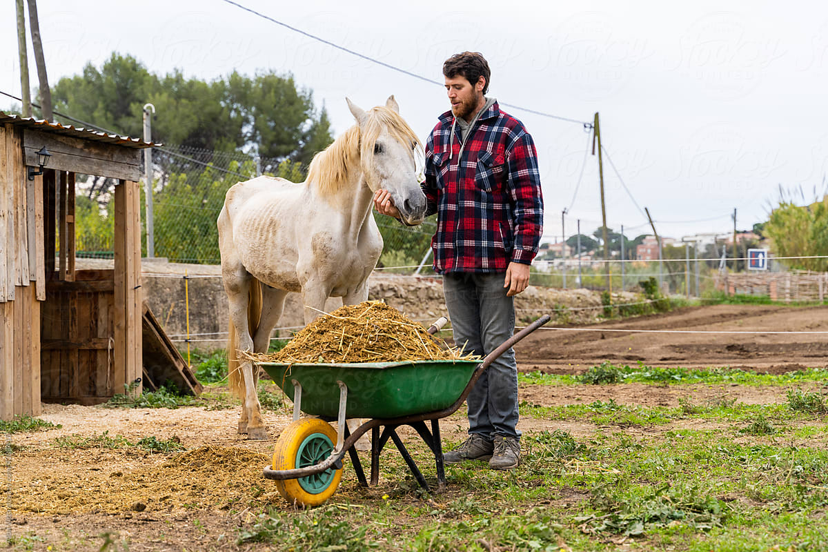 Man taking care of horse